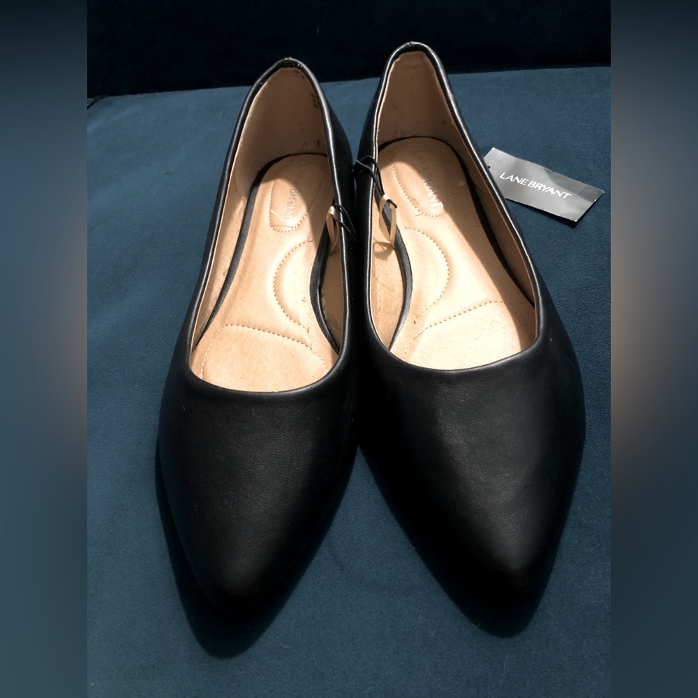 10W Pointed Toe Flats NWT